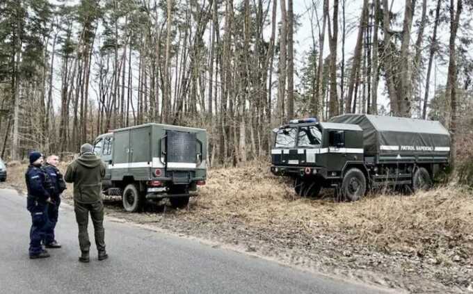 Дикие кабаны раскопали в польском лесу 21 минометный снаряд времен Второй мировой войны