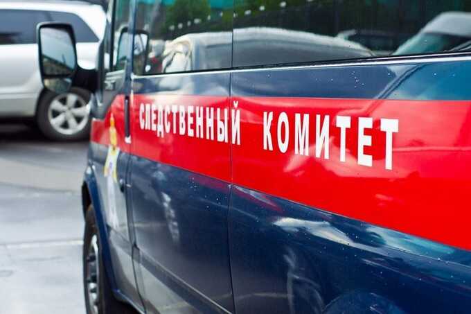 Мужчина расчленил гостью после убийства её шестилетнего сына