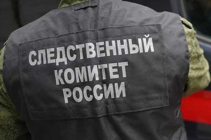 Следственный комитет начал расследование по делу сотрудника УФСБ и бывшего руководителя «Роснано»