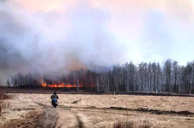 Лесной пожар в Забайкалье вышел из-под контроля